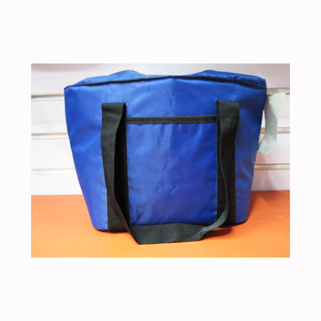 fashion ice cooler bag